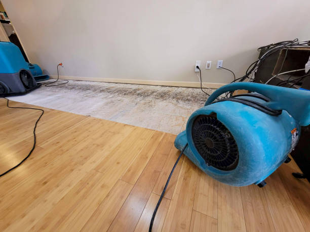 Professional Water Extraction technician working in Rockville, UT